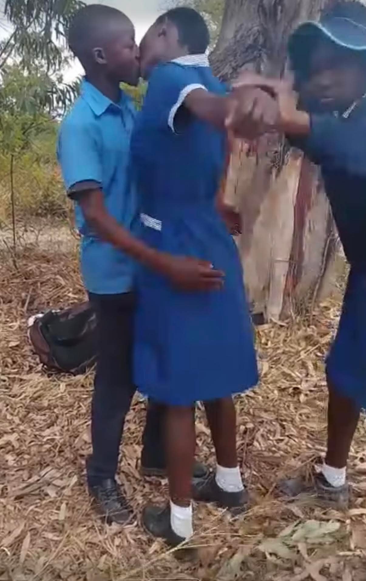 Vana vechikoro vachidyanana